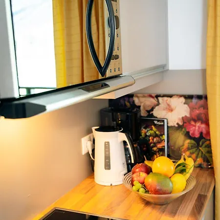 Lägenhetshotell Apart-garni Innerwiesn Mayrhofen