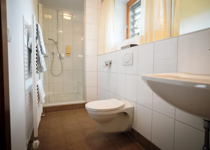 Apart Otel Apart-garni Innerwiesn Mayrhofen